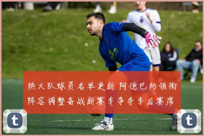 热火队球员名单更新 阿德巴约领衔阵容调整备战新赛季争夺季后赛席位